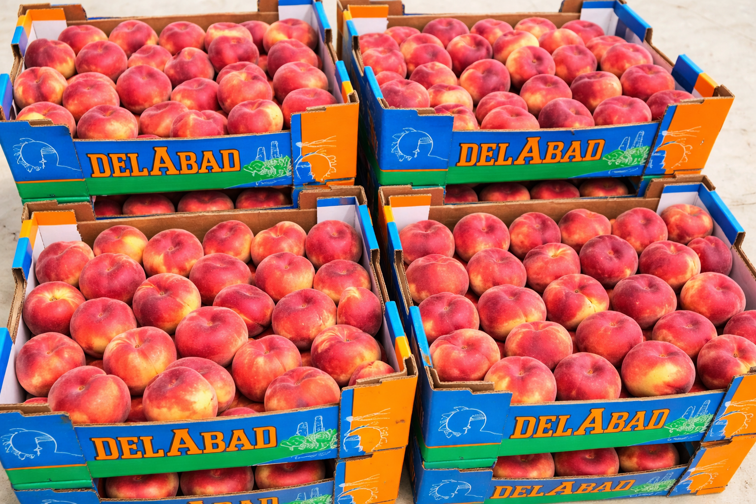 Huerto Delabad SLL, ejemplo de producción hortofrutícola sostenible desde el modelo de Sociedad Laboral