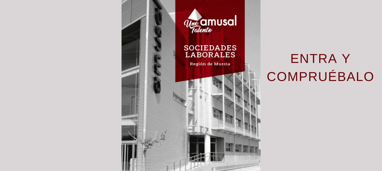 ¿Qué pueden ofrecerte nuestras empresas?